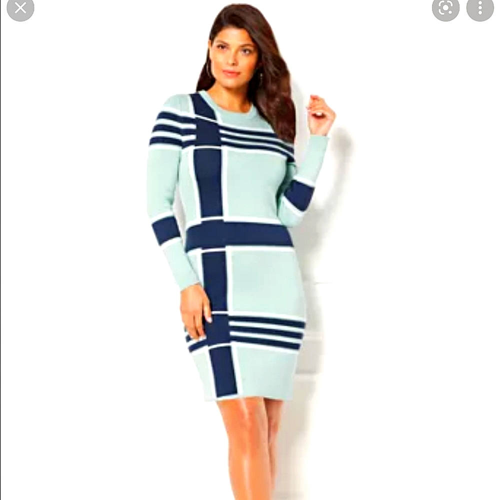 Melina Sweater Dress - Plus 